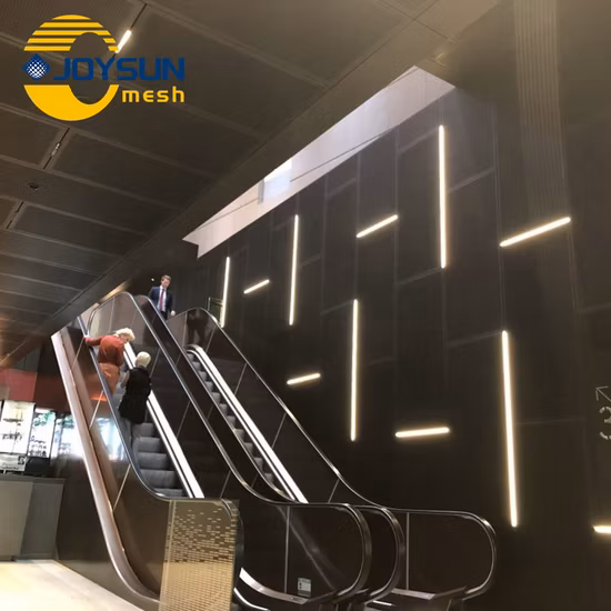 Laserschneiden, CNC-Schnitt, dekorative Fassade, Außenwand, Fassadenverkleidung, Aluminiumverkleidung, 3 mm, einzelne perforierte Aluminium-Fassaden-Massivplatte